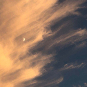 用毛笔刷尿孔不准尿
